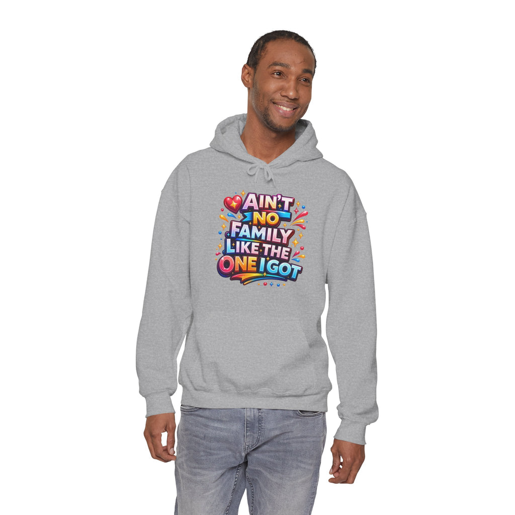 Ain't No Family Like The One I Got Hoodie