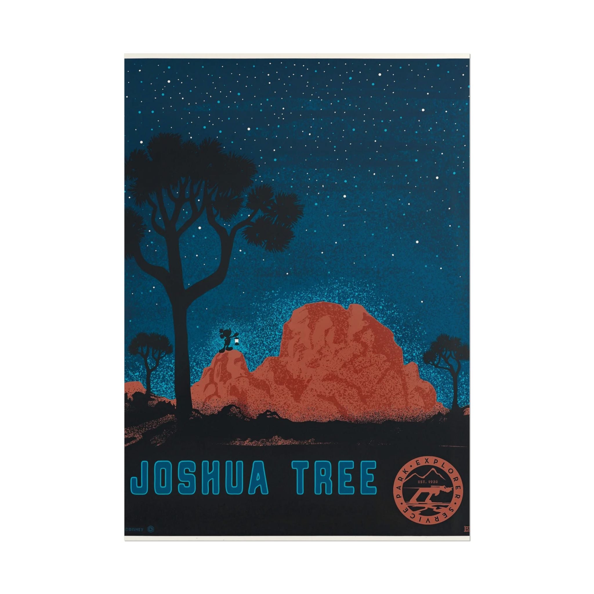 Joshua Tree Night Sky Poster - Rolled Art Print