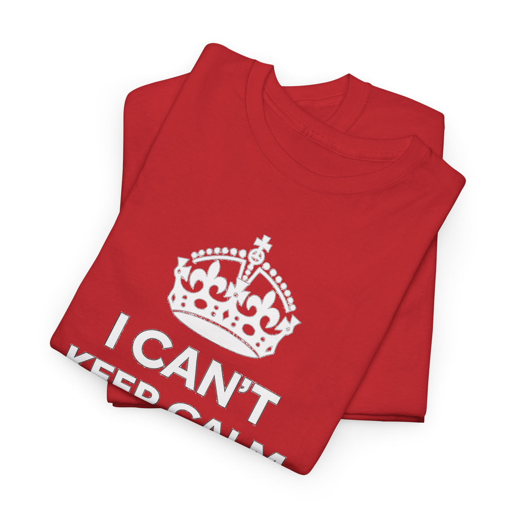 Champions of Europe T‑Shirt — "I Can't Keep Calm, We're Champions of Europe" Soccer Fan Tee