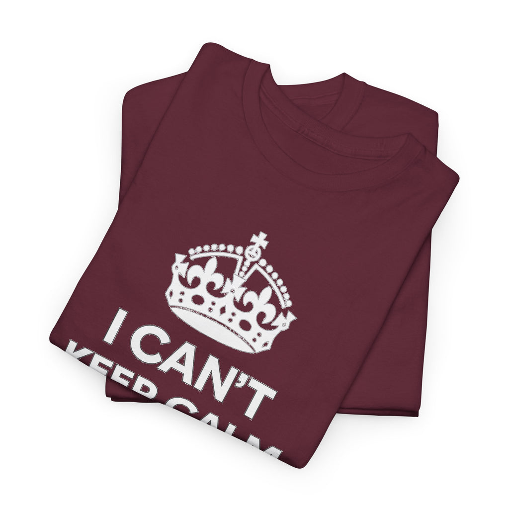 Champions of Europe T‑Shirt — "I Can't Keep Calm, We're Champions of Europe" Soccer Fan Tee