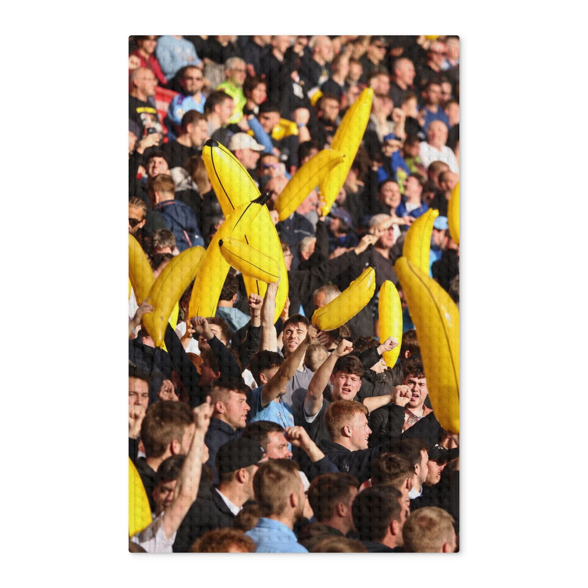 Manchester City Fans with Bananas Crowd Tea Towel