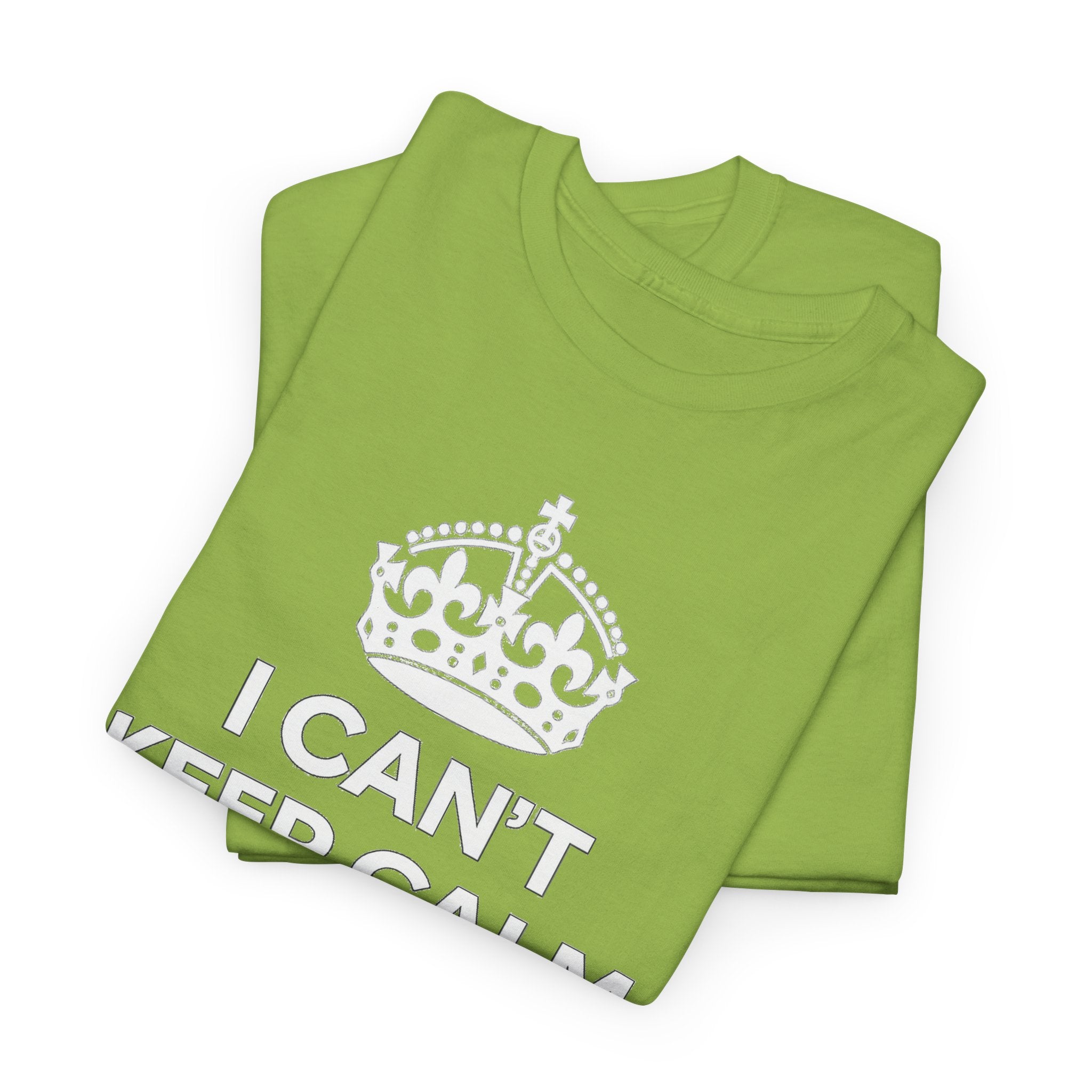 I Can't Keep Calm I'm Going to Disney World T-Shirt