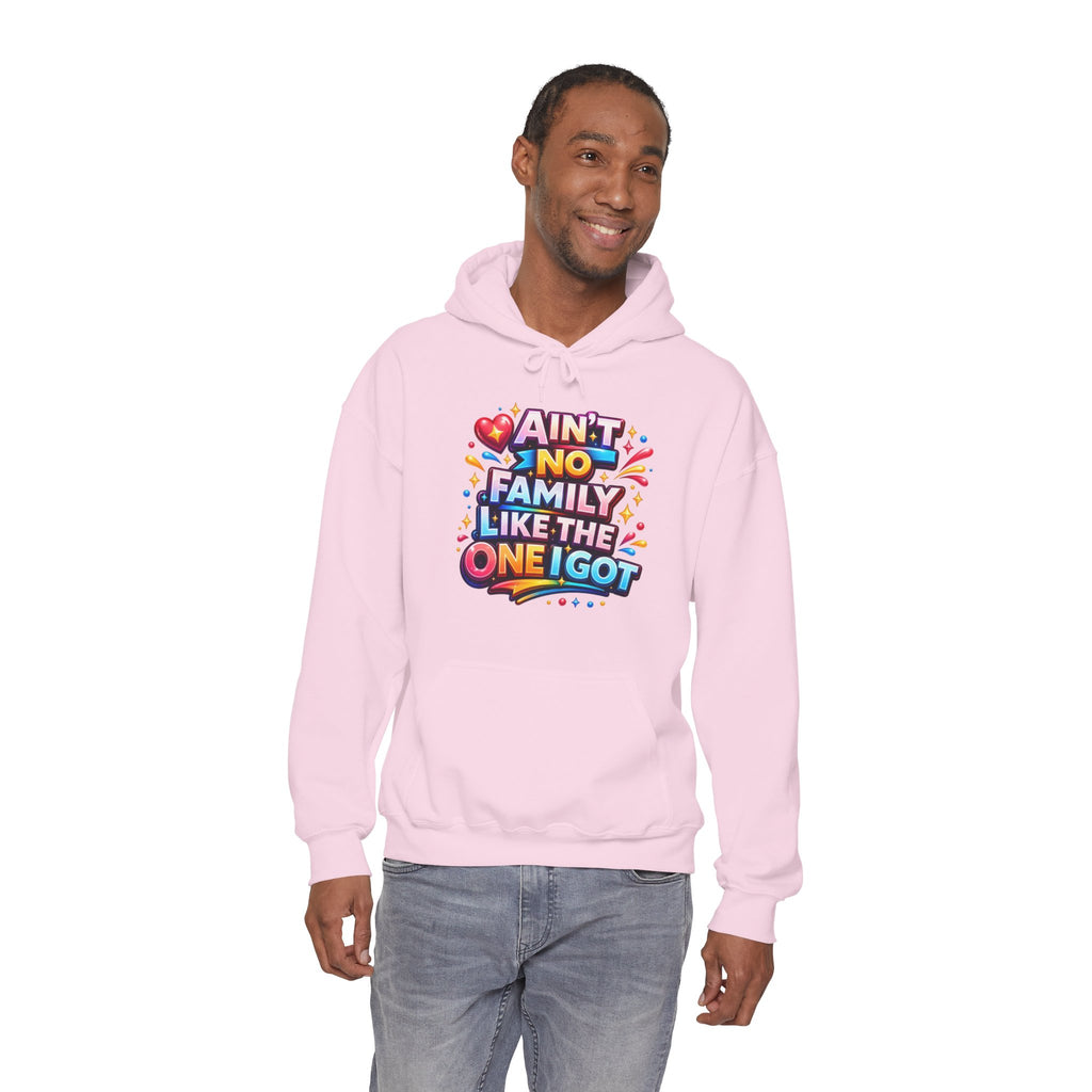 Ain't No Family Like The One I Got Hoodie