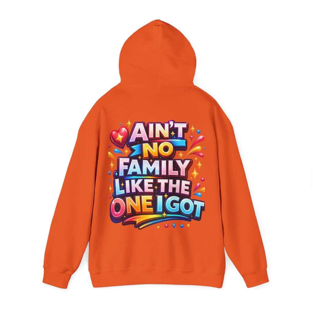 Ain't No Family Like The One I Got Hoodie