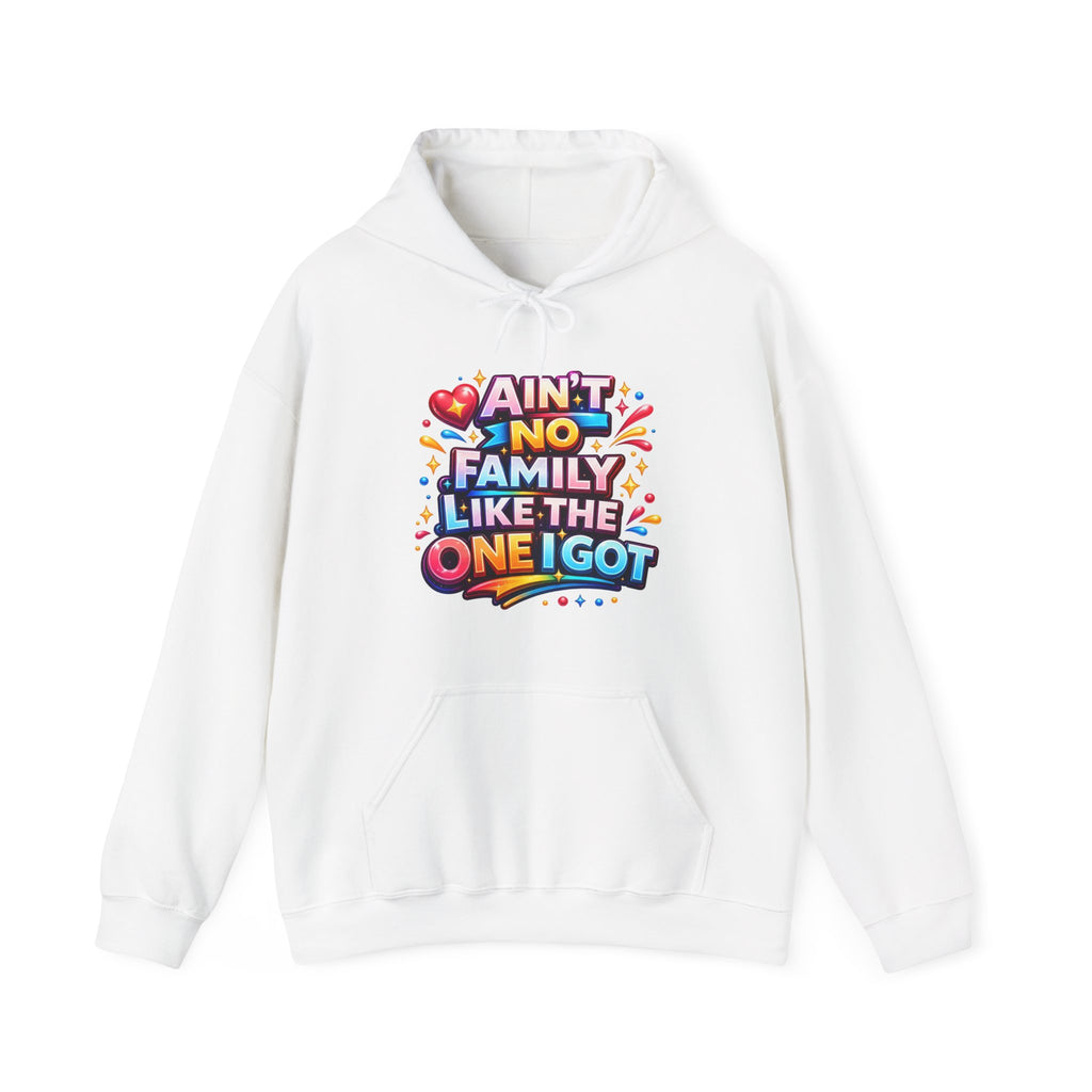 Ain't No Family Like The One I Got Hoodie