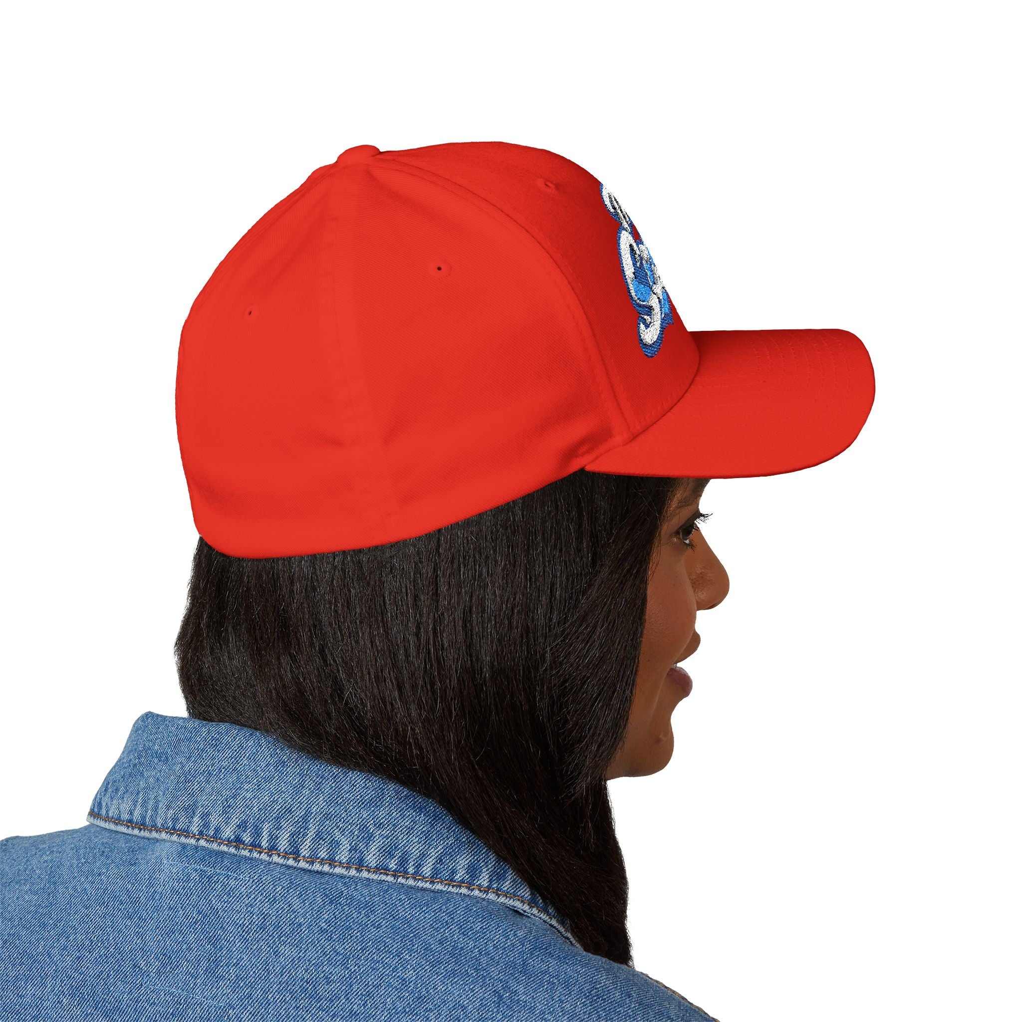 The Seagulls Embroidered Cap — Structured Baseball Hat