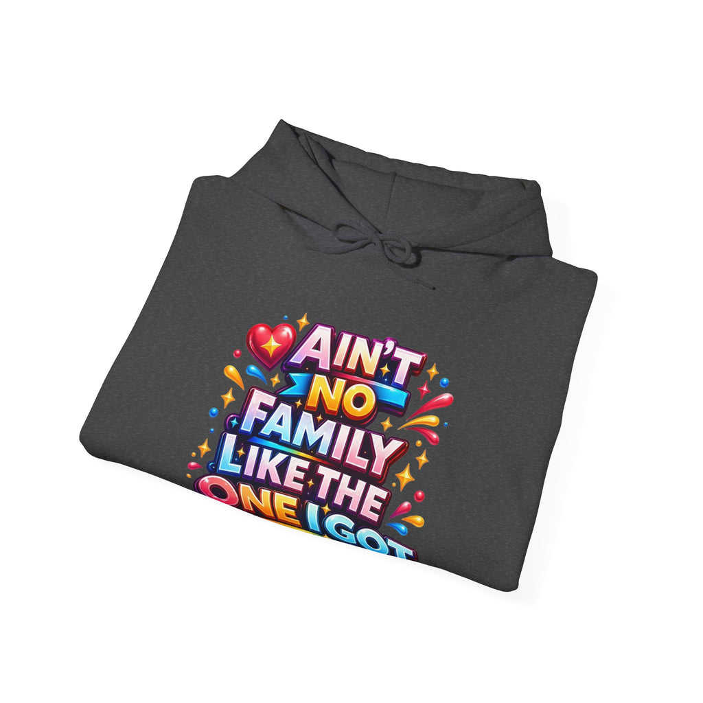 Ain't No Family Like The One I Got Hoodie