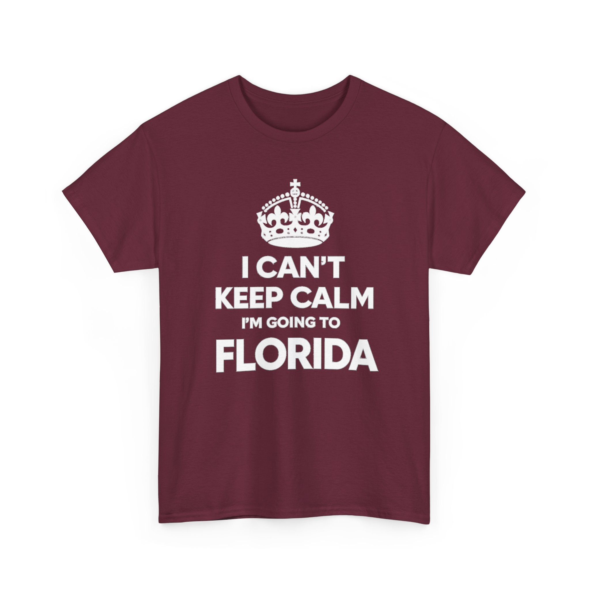 I Can't Keep Calm — Florida Vacation T-Shirt