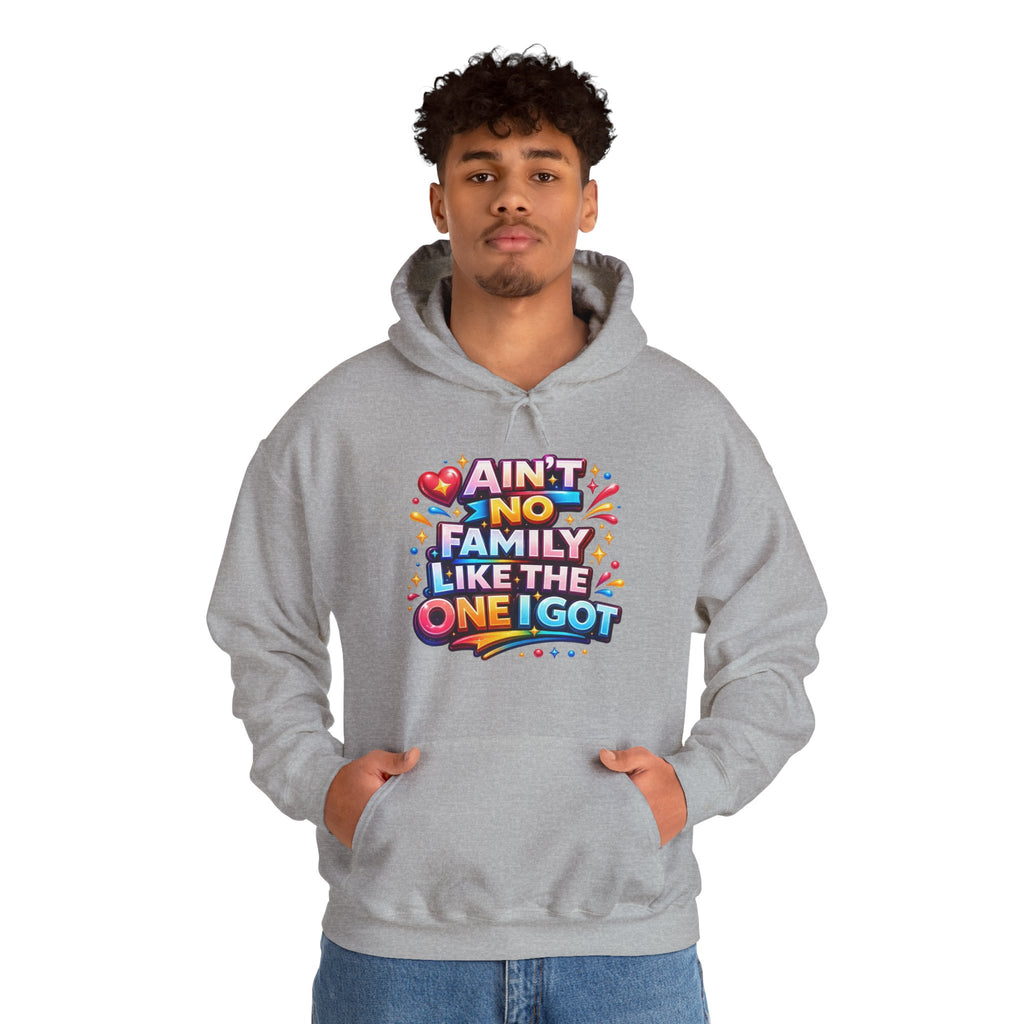Ain't No Family Like The One I Got Hoodie