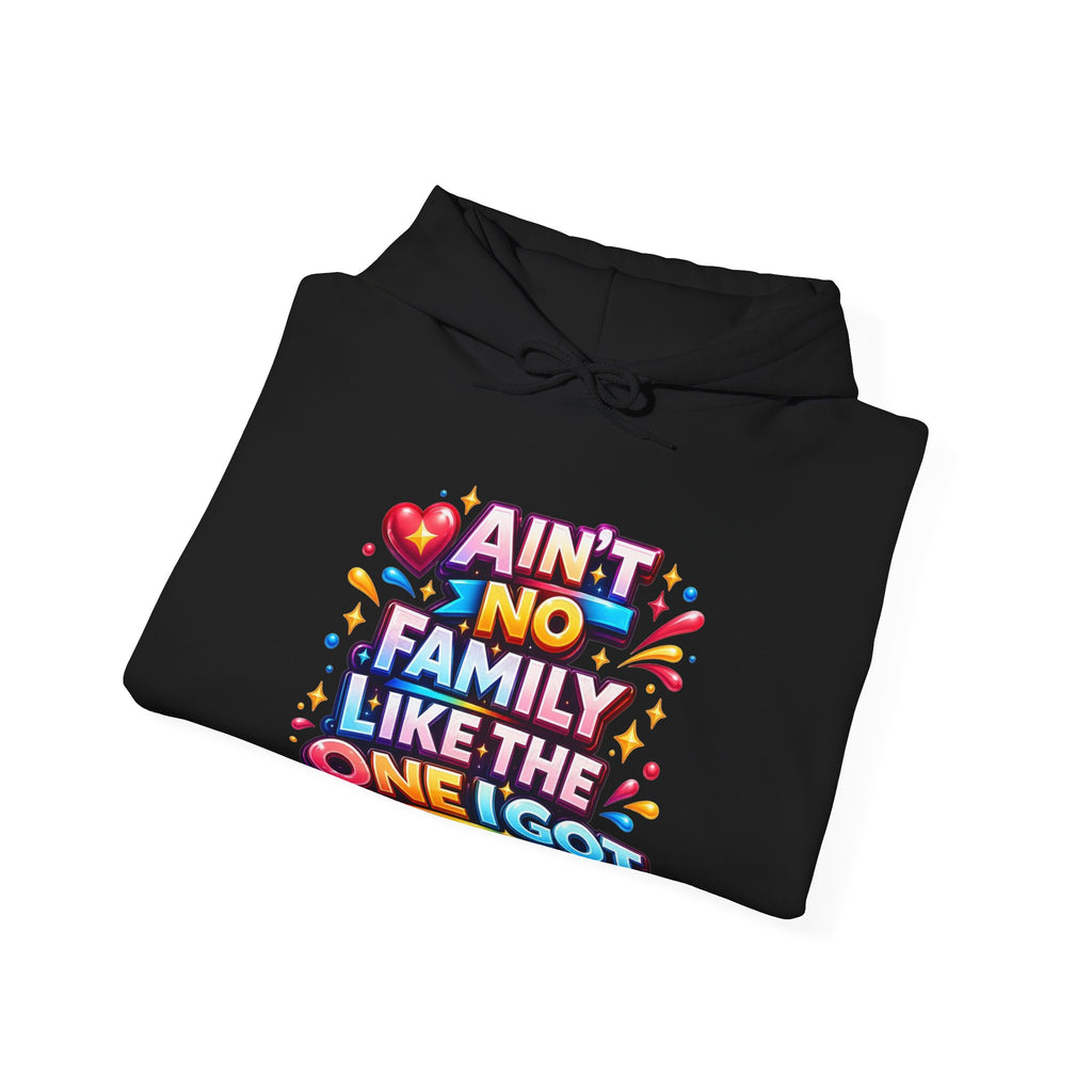 Ain't No Family Like The One I Got Hoodie