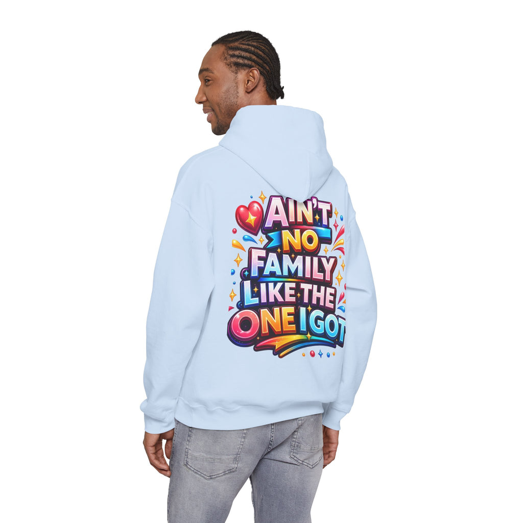 Ain't No Family Like The One I Got Hoodie