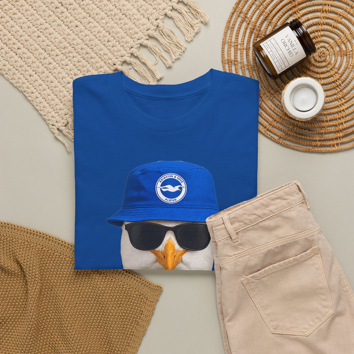 Brighton Seagull Fan Crewneck Tee — Brighton & Hove Seagulls Football Shirt Design
