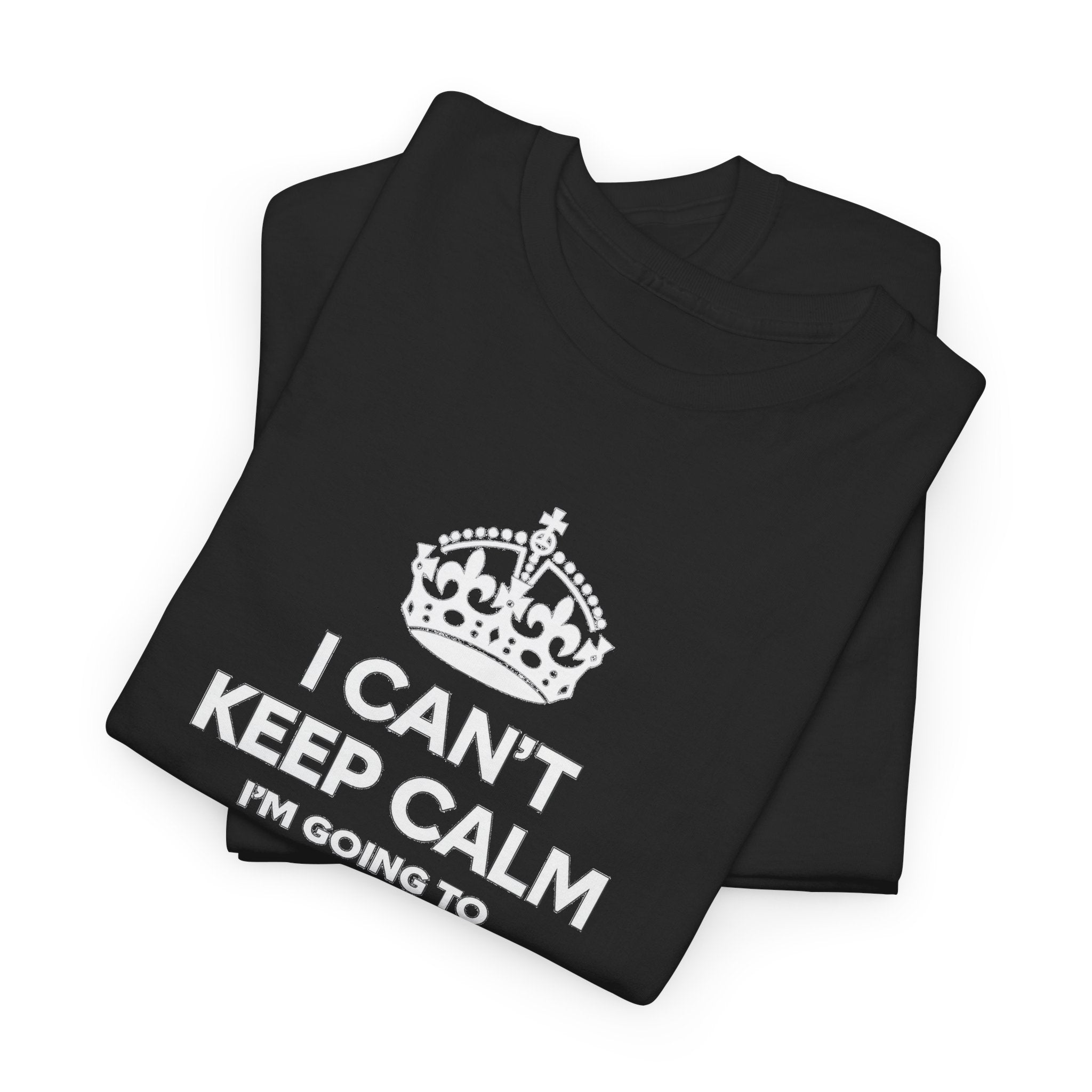 T-Shirt — "I CAN'T KEEP CALM I'M GOING TO EPIC UNIVERSE" Graphic Tee