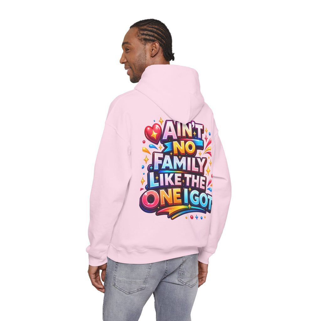 Ain't No Family Like The One I Got Hoodie