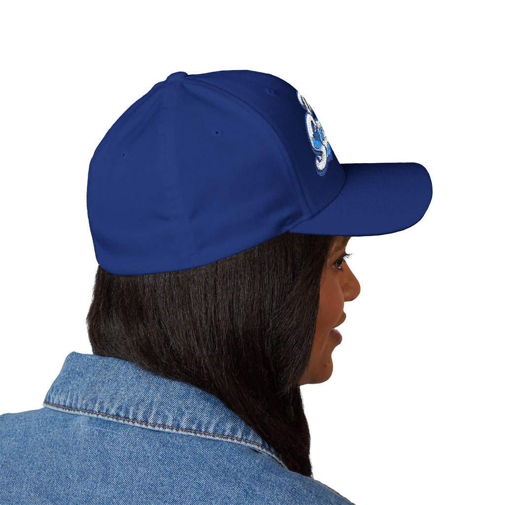 The Seagulls Embroidered Cap — Structured Baseball Hat