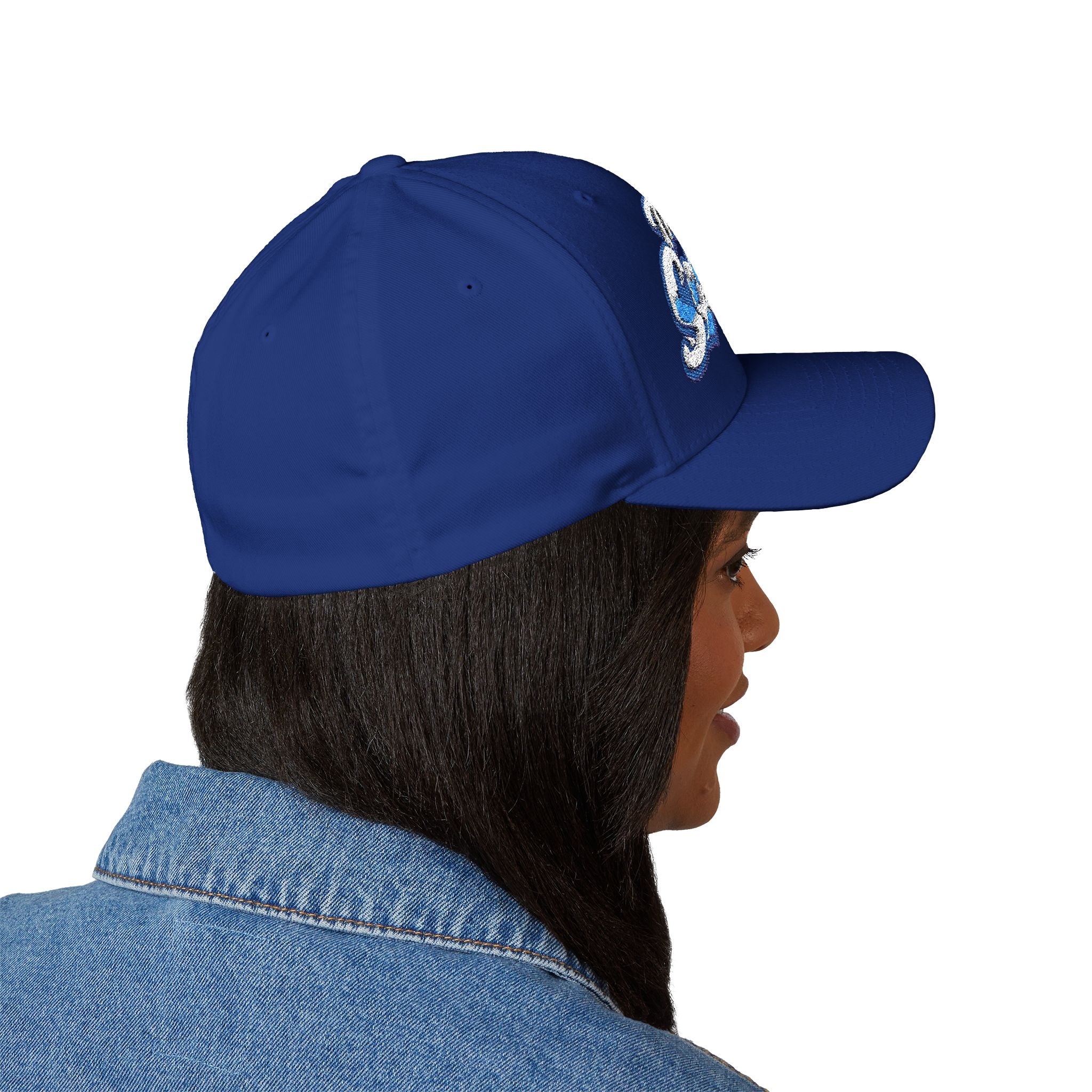 The Seagulls Embroidered Cap — Structured Baseball Hat