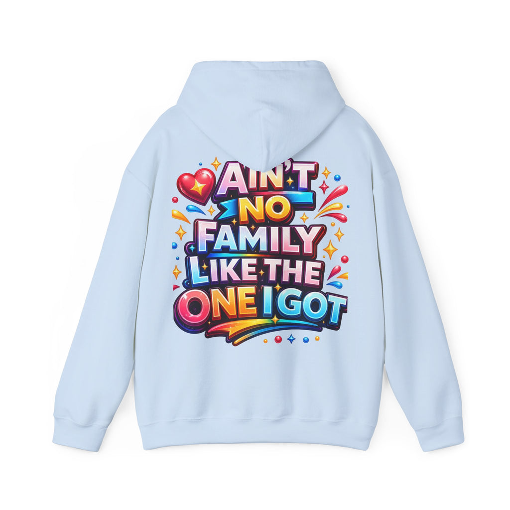Ain't No Family Like The One I Got Hoodie