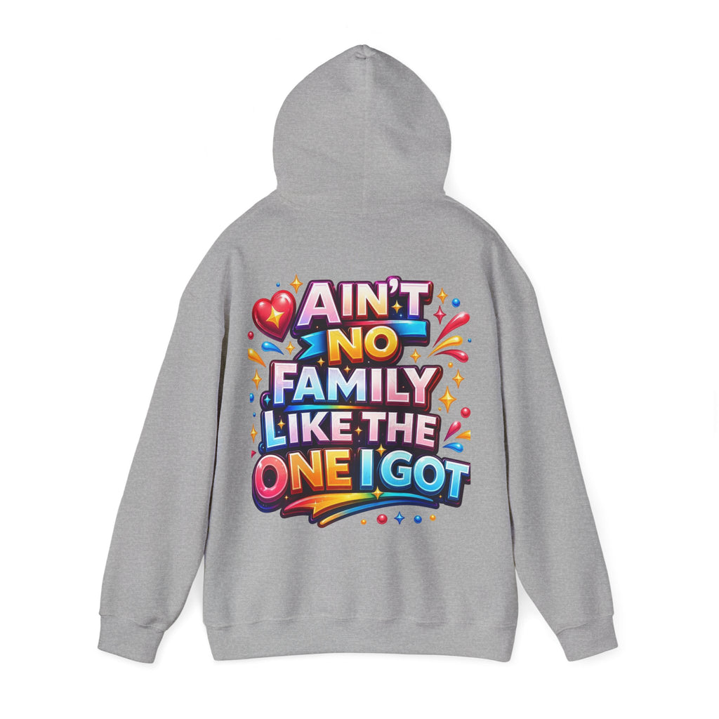 Ain't No Family Like The One I Got Hoodie