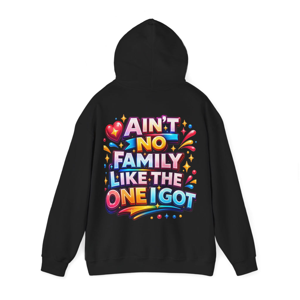 Ain't No Family Like The One I Got Hoodie