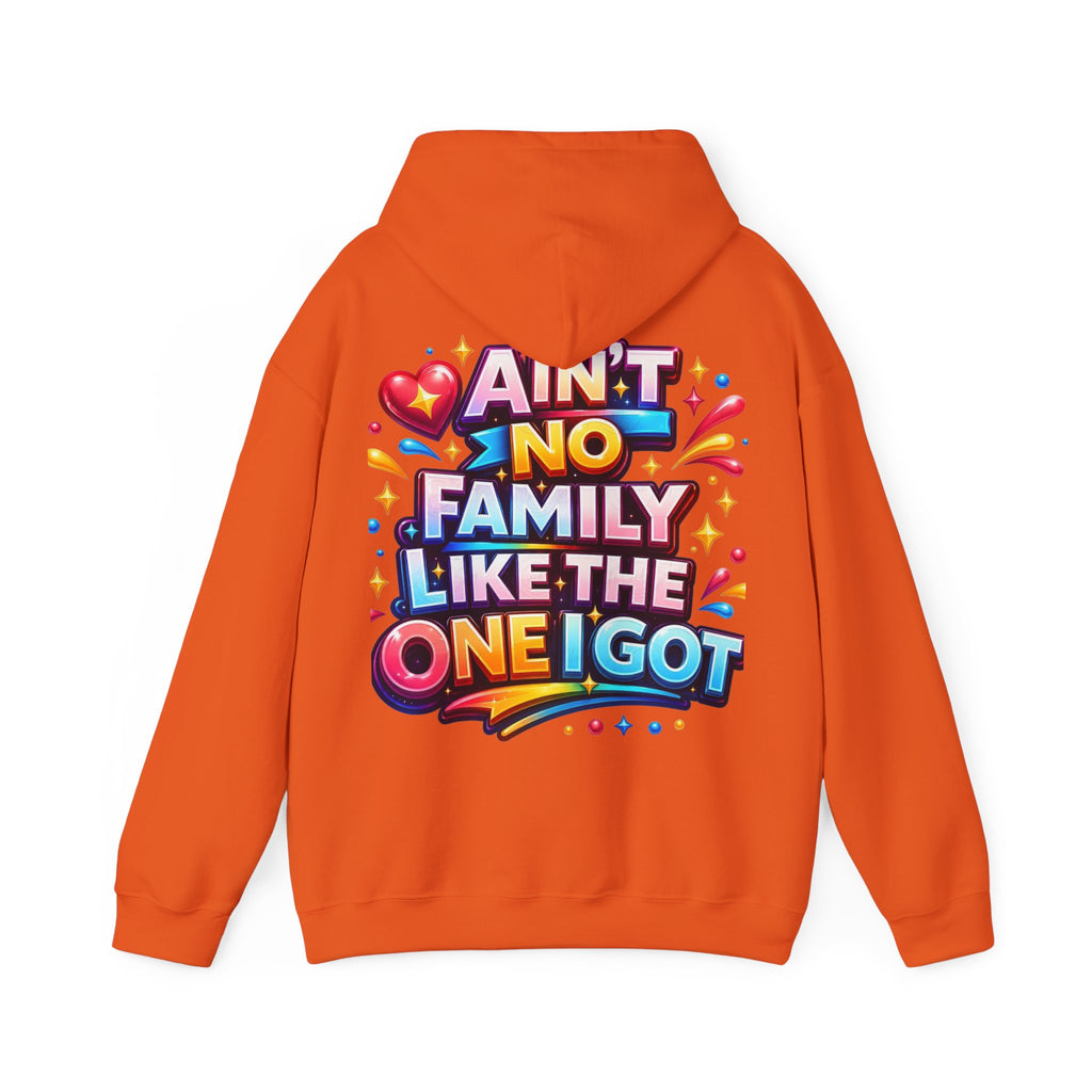Ain't No Family Like The One I Got Hoodie