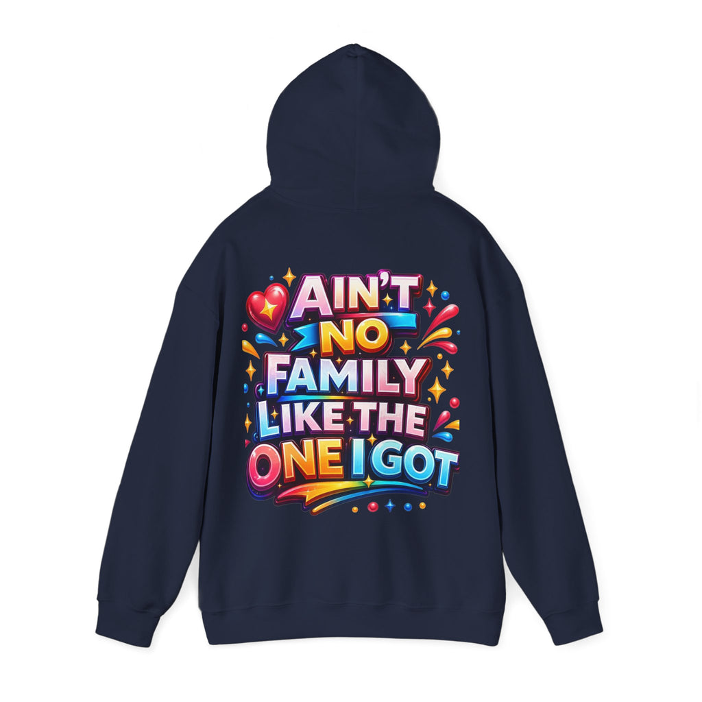 Ain't No Family Like The One I Got Hoodie