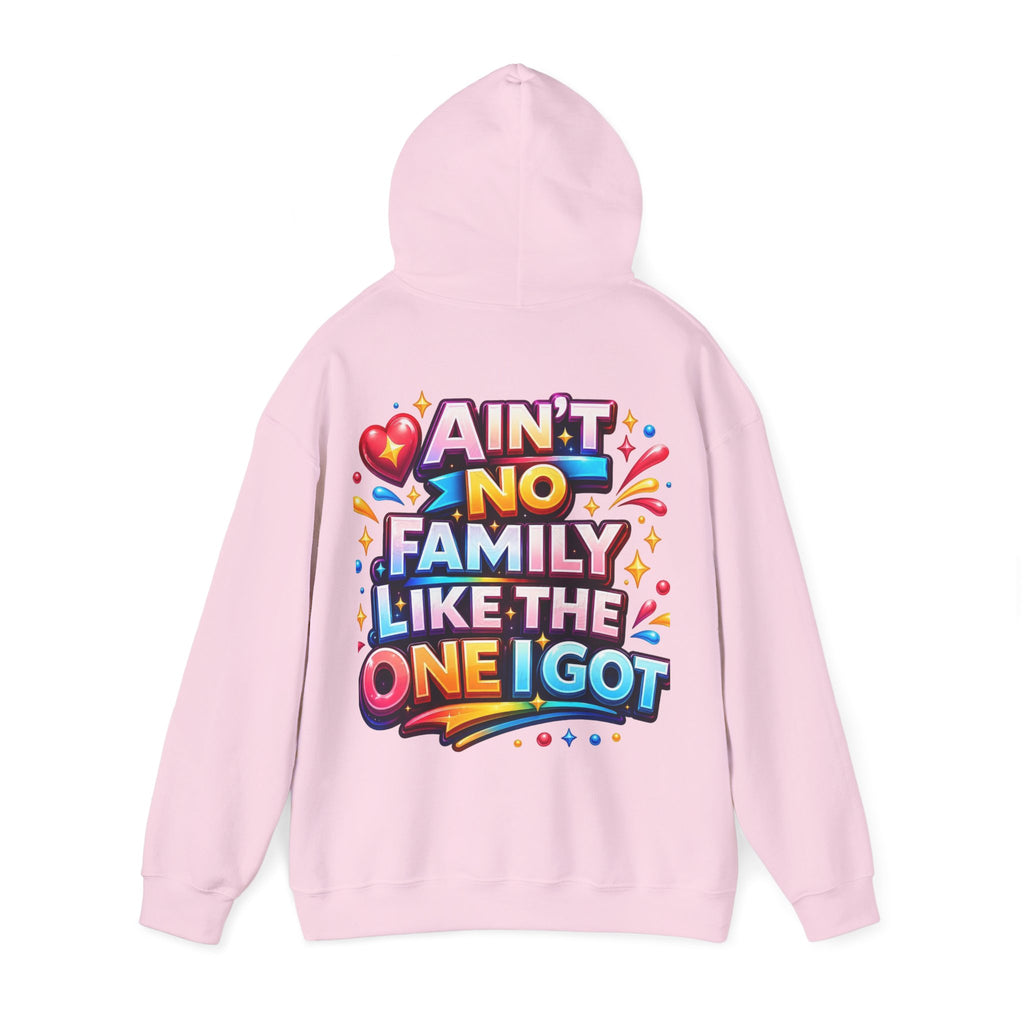 Ain't No Family Like The One I Got Hoodie