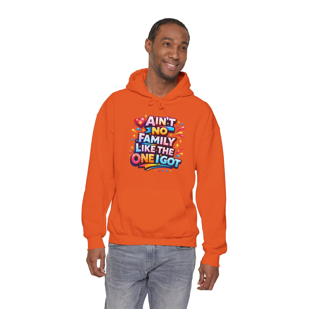 Ain't No Family Like The One I Got Hoodie