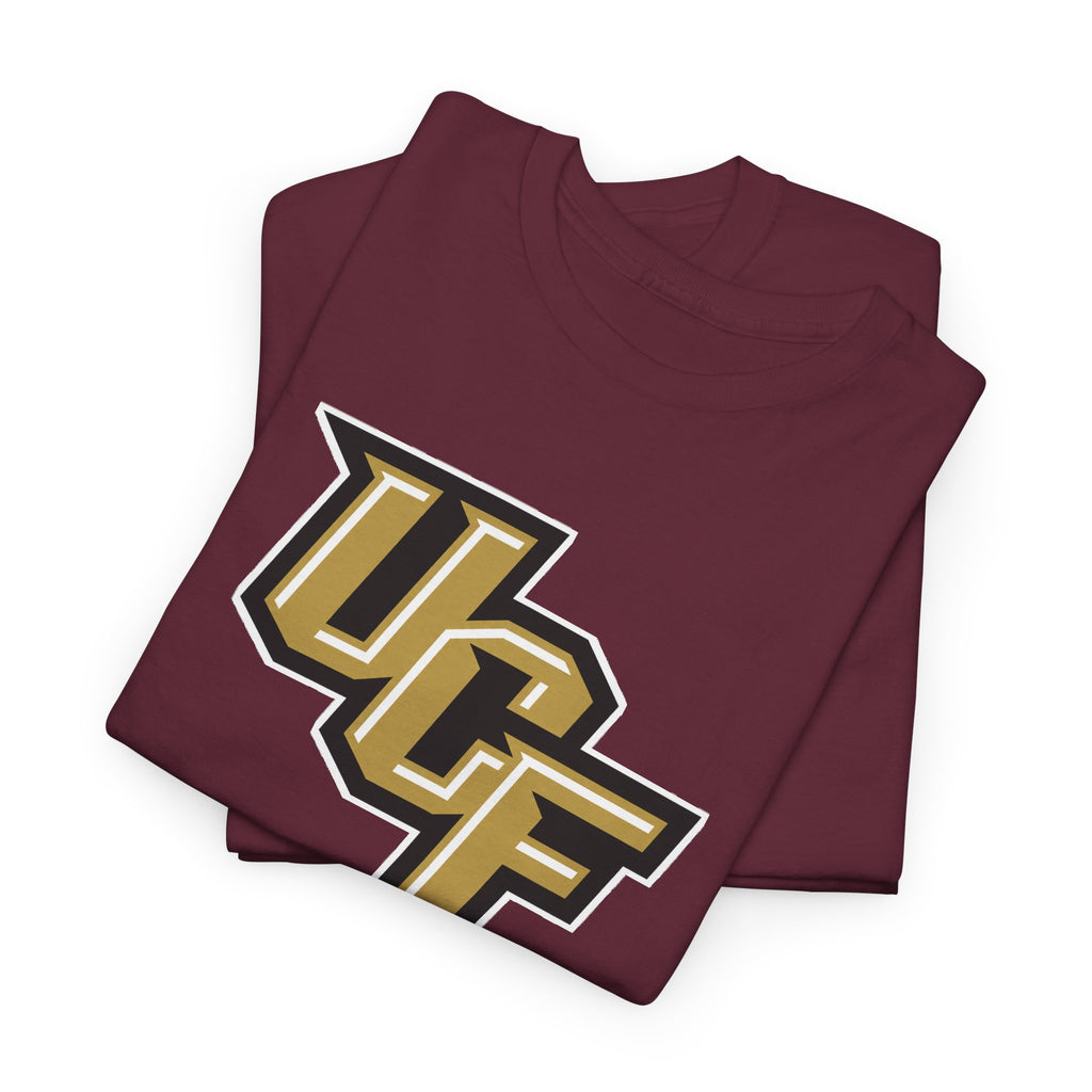UCF Unisex Heavy Cotton Tee