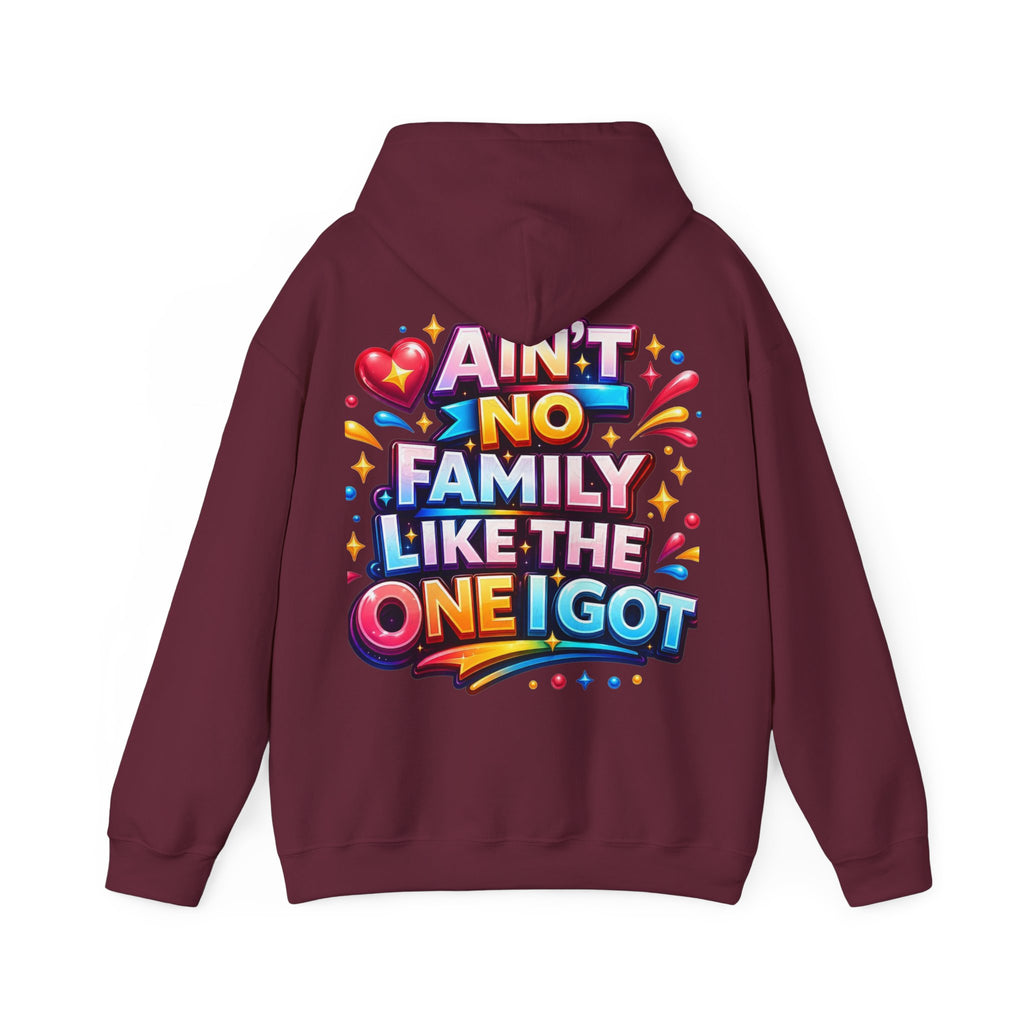 Ain't No Family Like The One I Got Hoodie