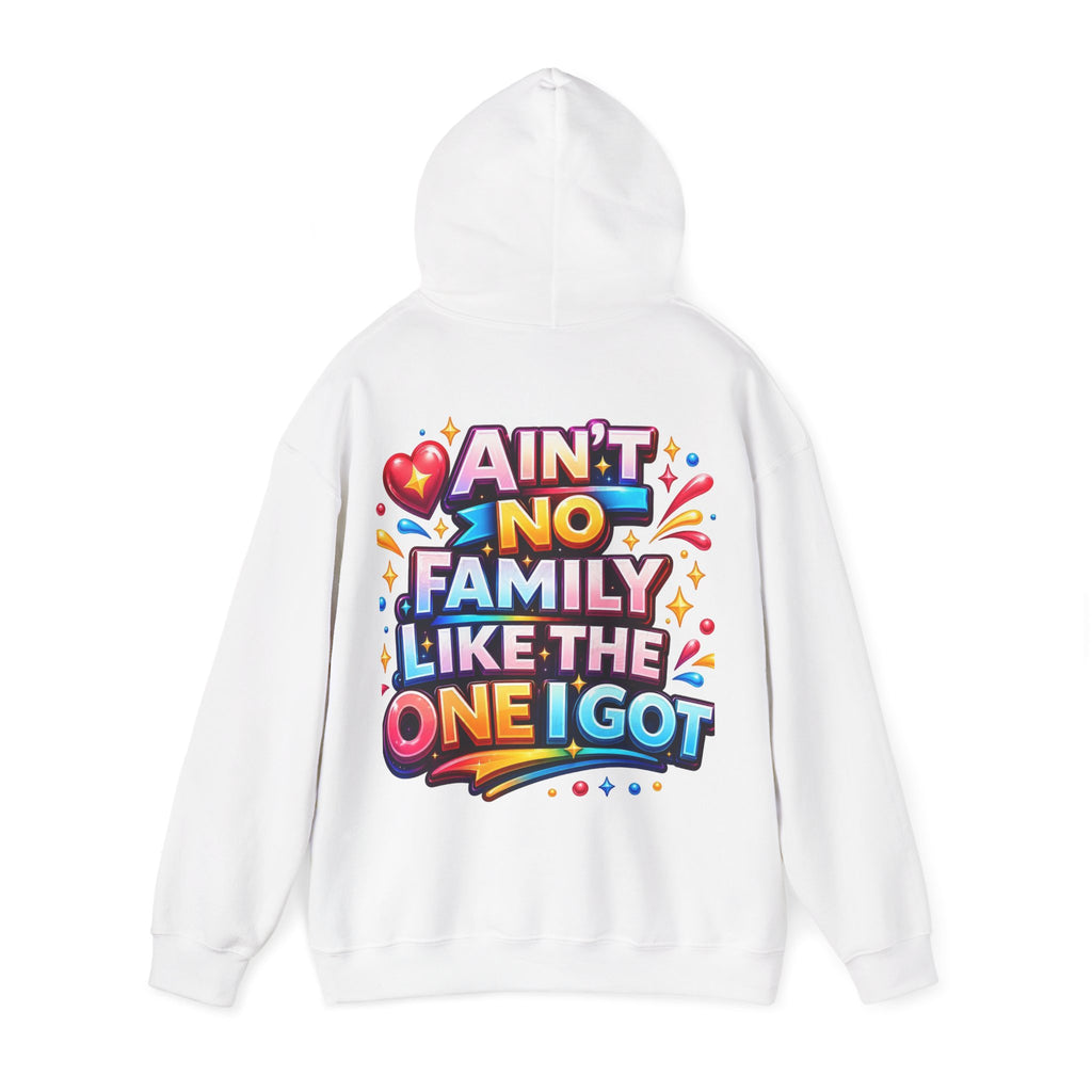 Ain't No Family Like The One I Got Hoodie