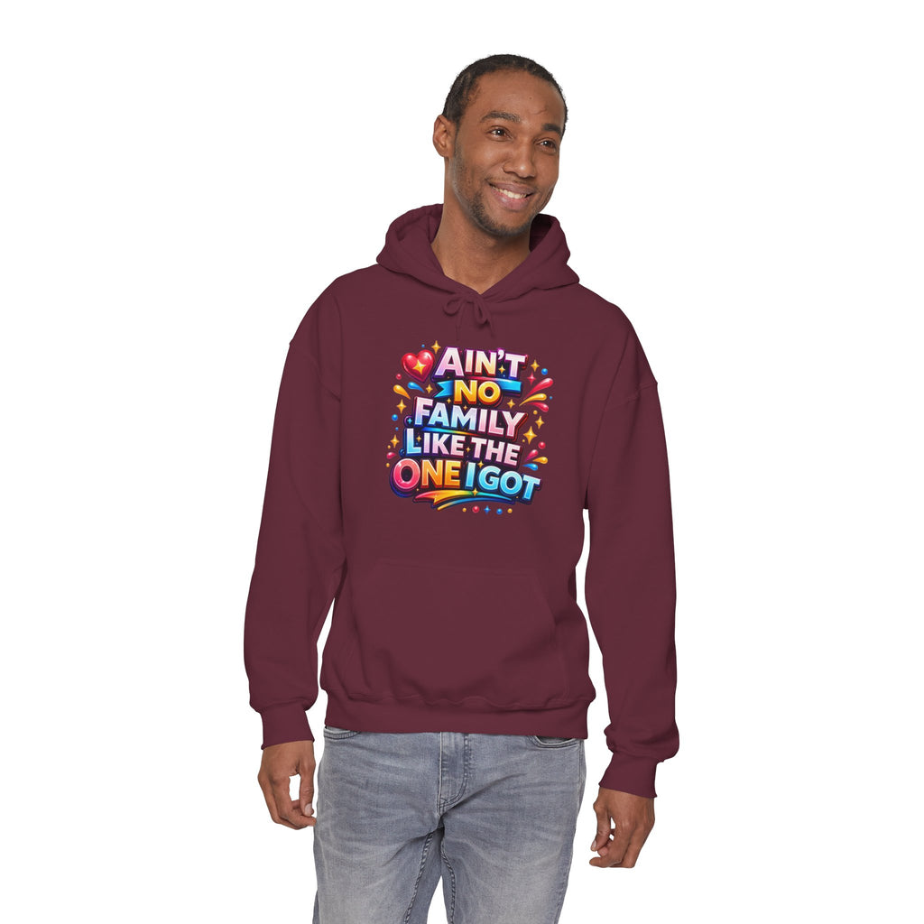 Ain't No Family Like The One I Got Hoodie