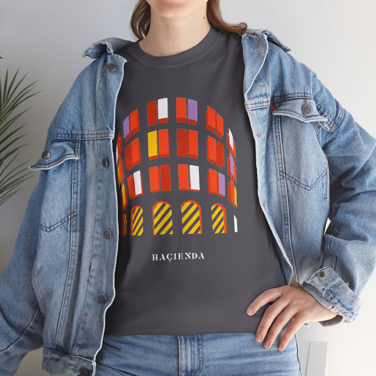 Hacienda Arch Graphic Cotton T-Shirt Tee — Retro Sunset Window Illustration