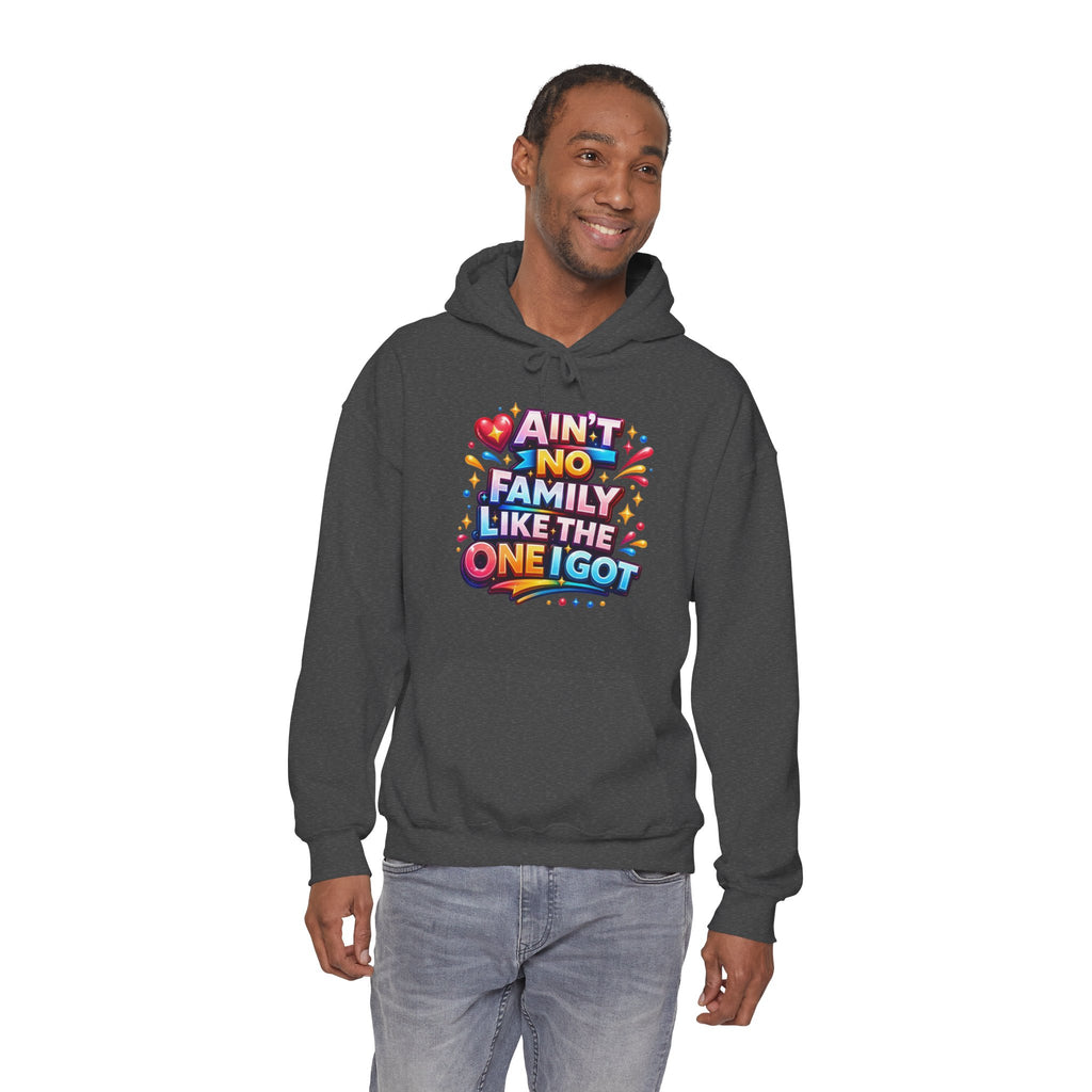 Ain't No Family Like The One I Got Hoodie