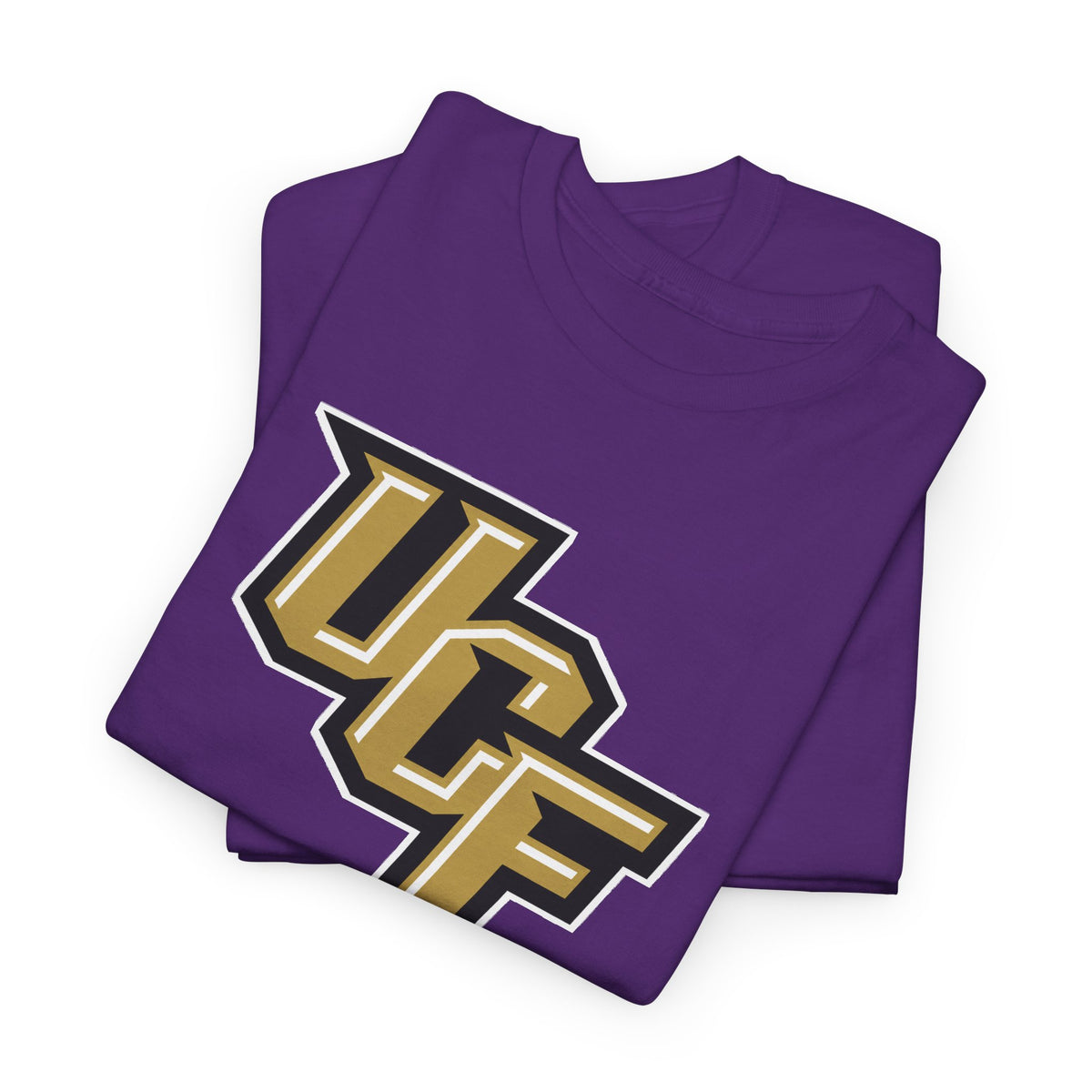 UCF Unisex Heavy Cotton Tee
