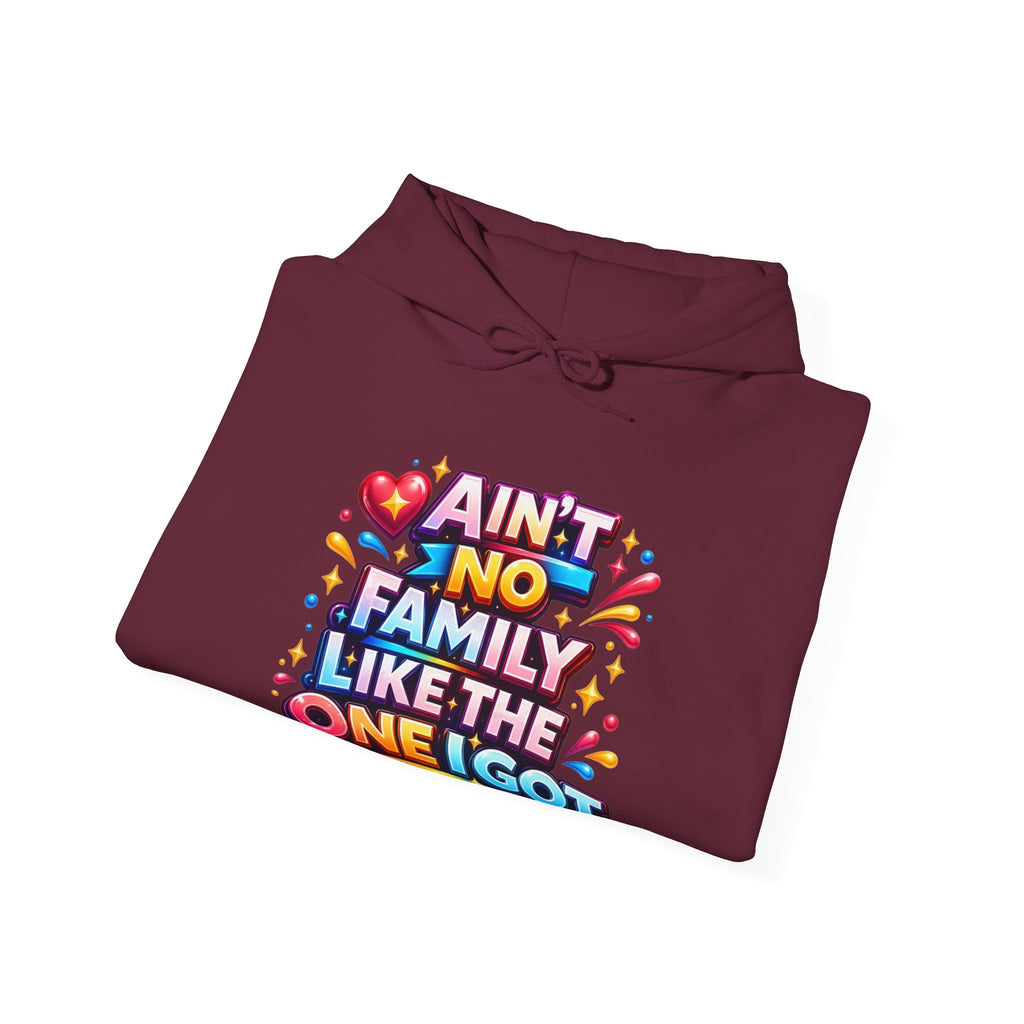 Ain't No Family Like The One I Got Hoodie