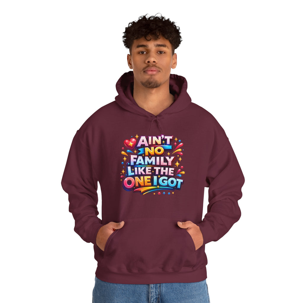Ain't No Family Like The One I Got Hoodie