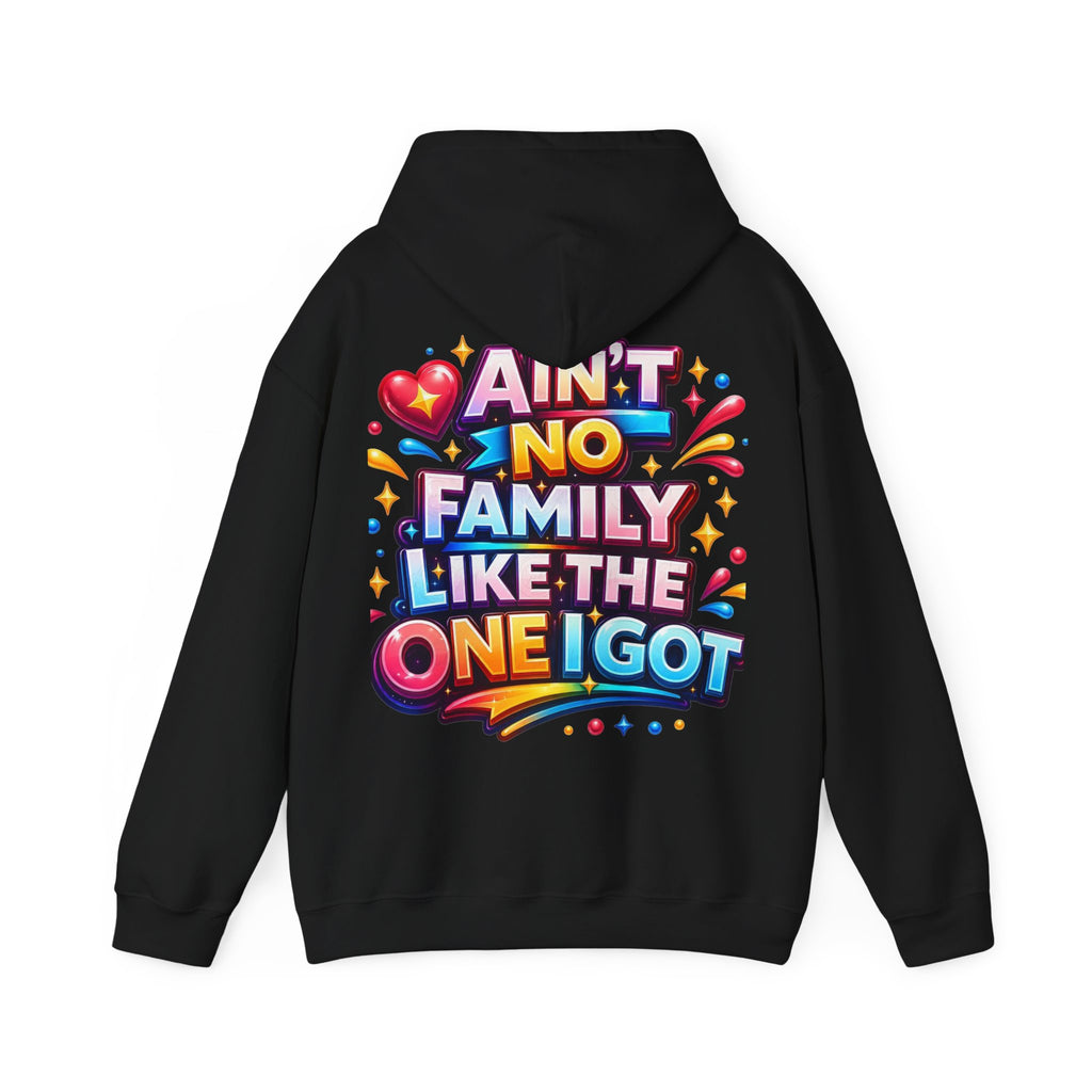 Ain't No Family Like The One I Got Hoodie
