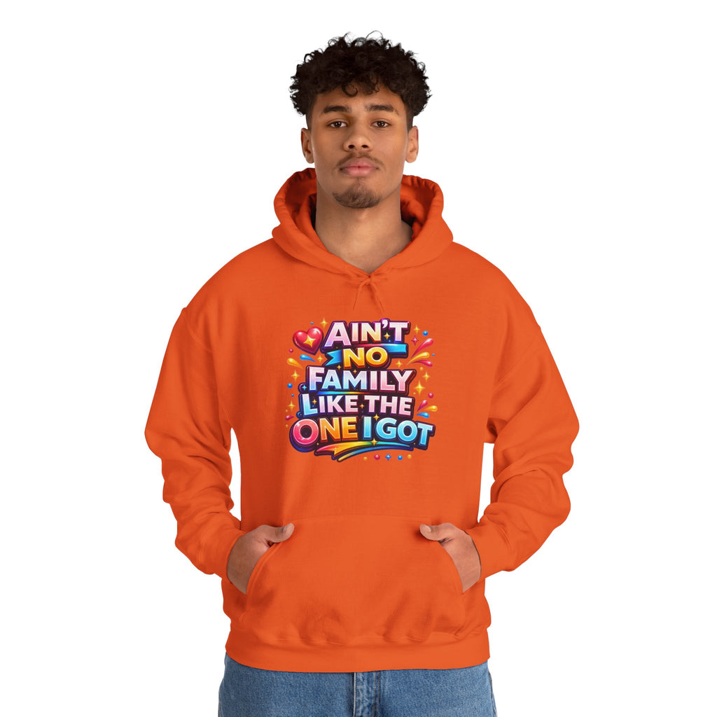 Ain't No Family Like The One I Got Hoodie