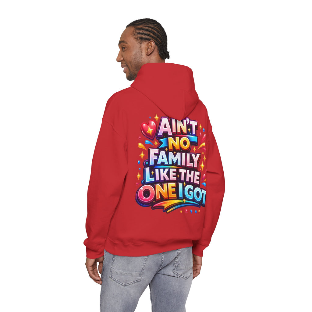 Ain't No Family Like The One I Got Hoodie