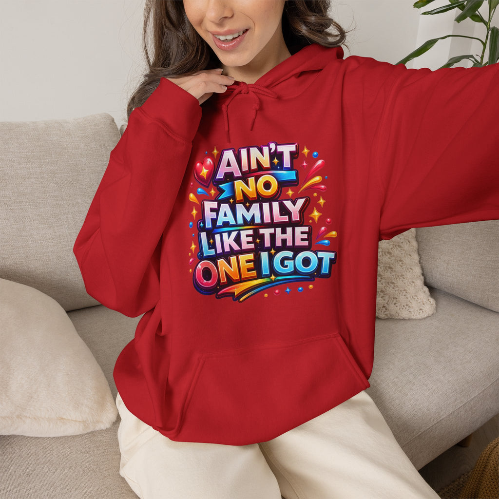 Ain't No Family Like The One I Got Hoodie