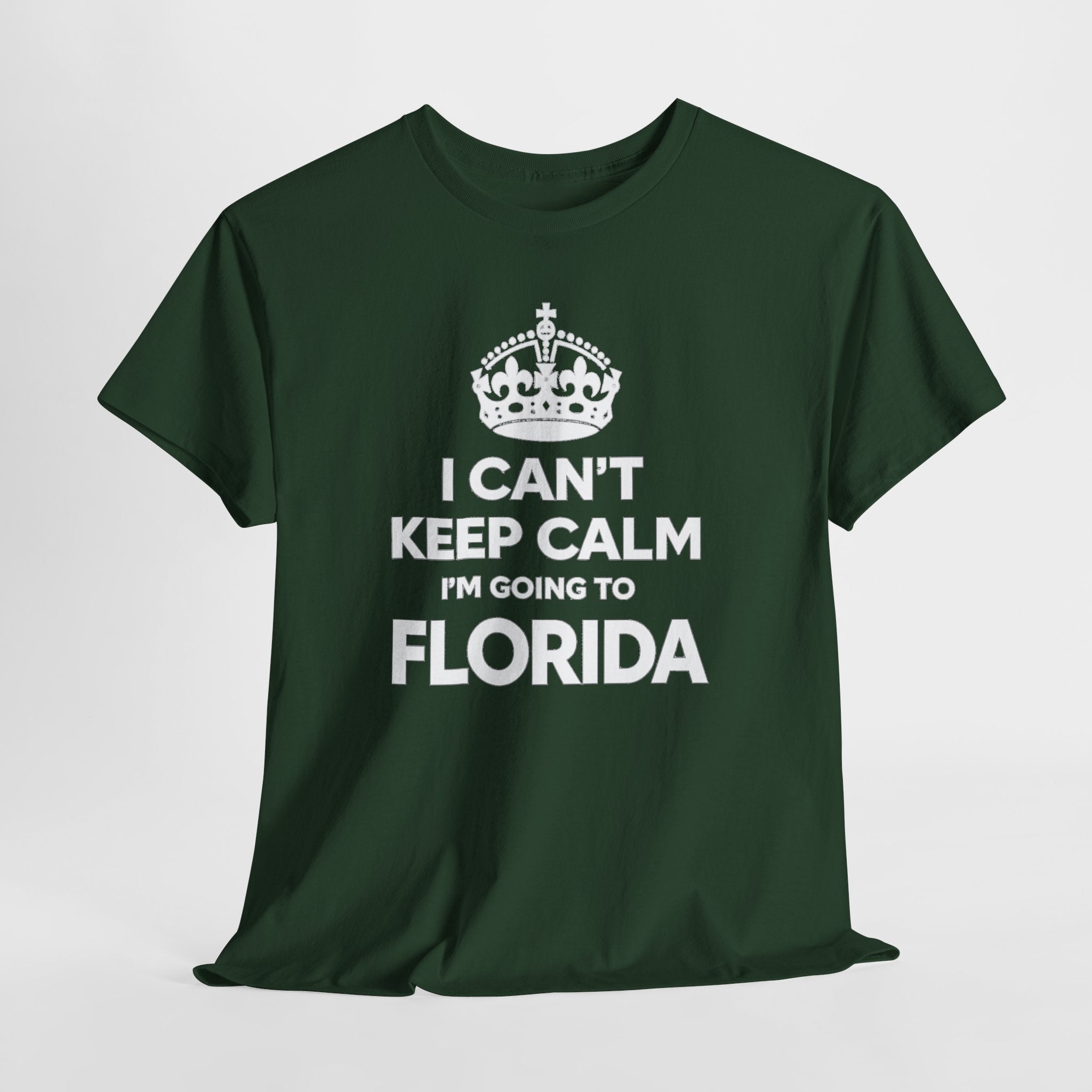 I Can't Keep Calm — Florida Vacation T-Shirt