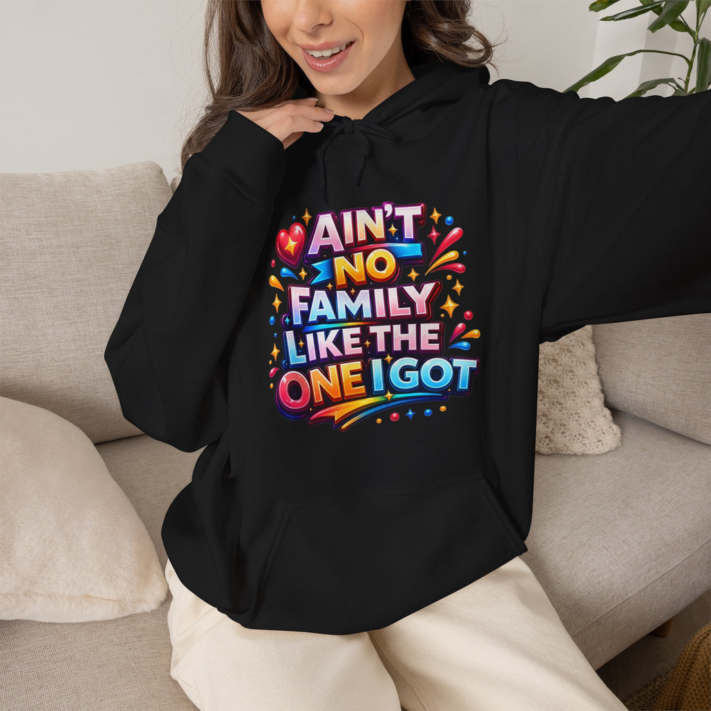 Ain't No Family Like The One I Got Hoodie