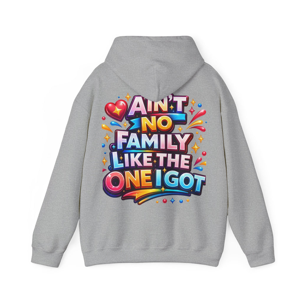 Ain't No Family Like The One I Got Hoodie