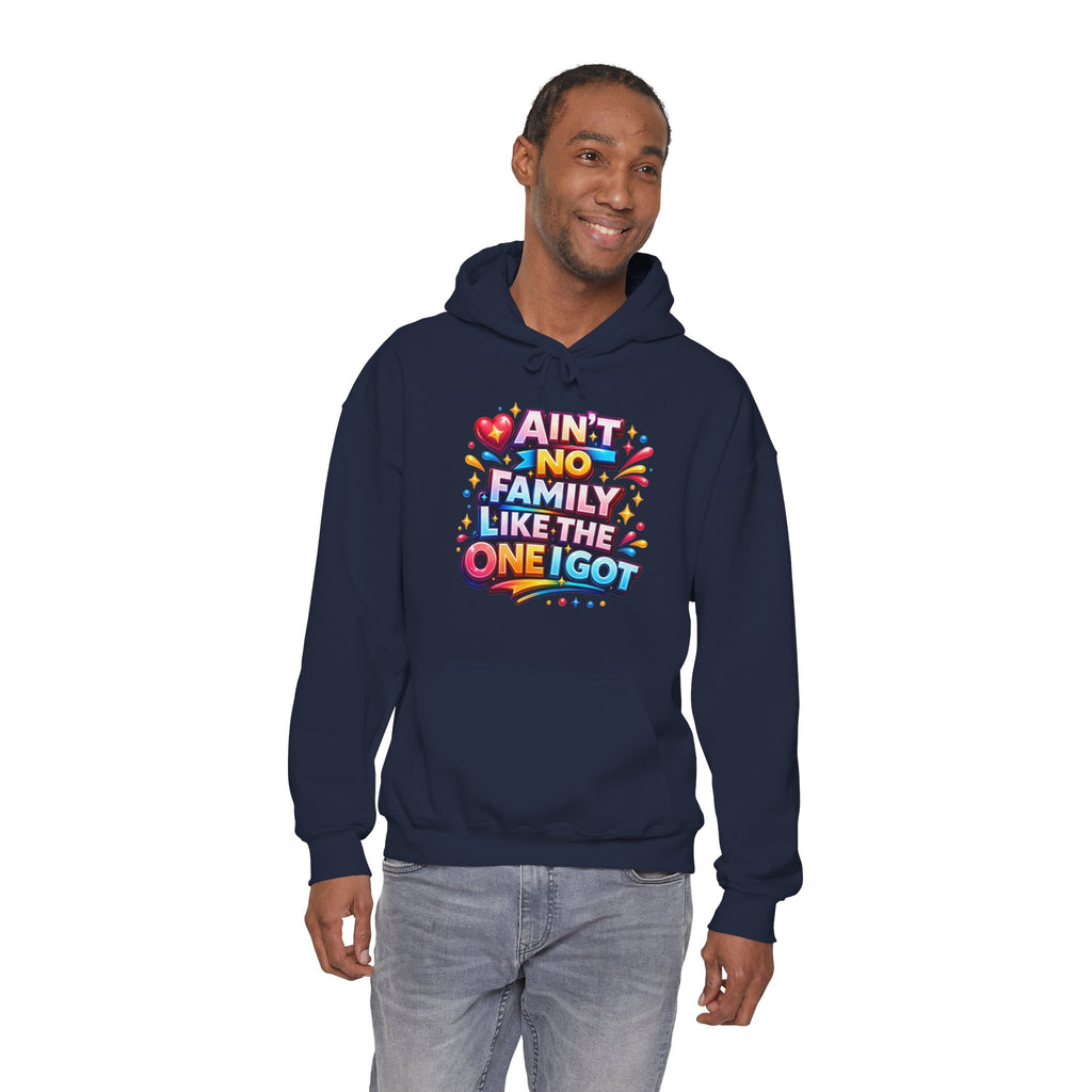 Ain't No Family Like The One I Got Hoodie