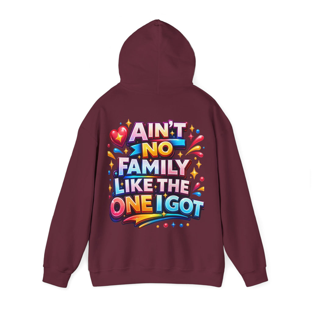 Ain't No Family Like The One I Got Hoodie