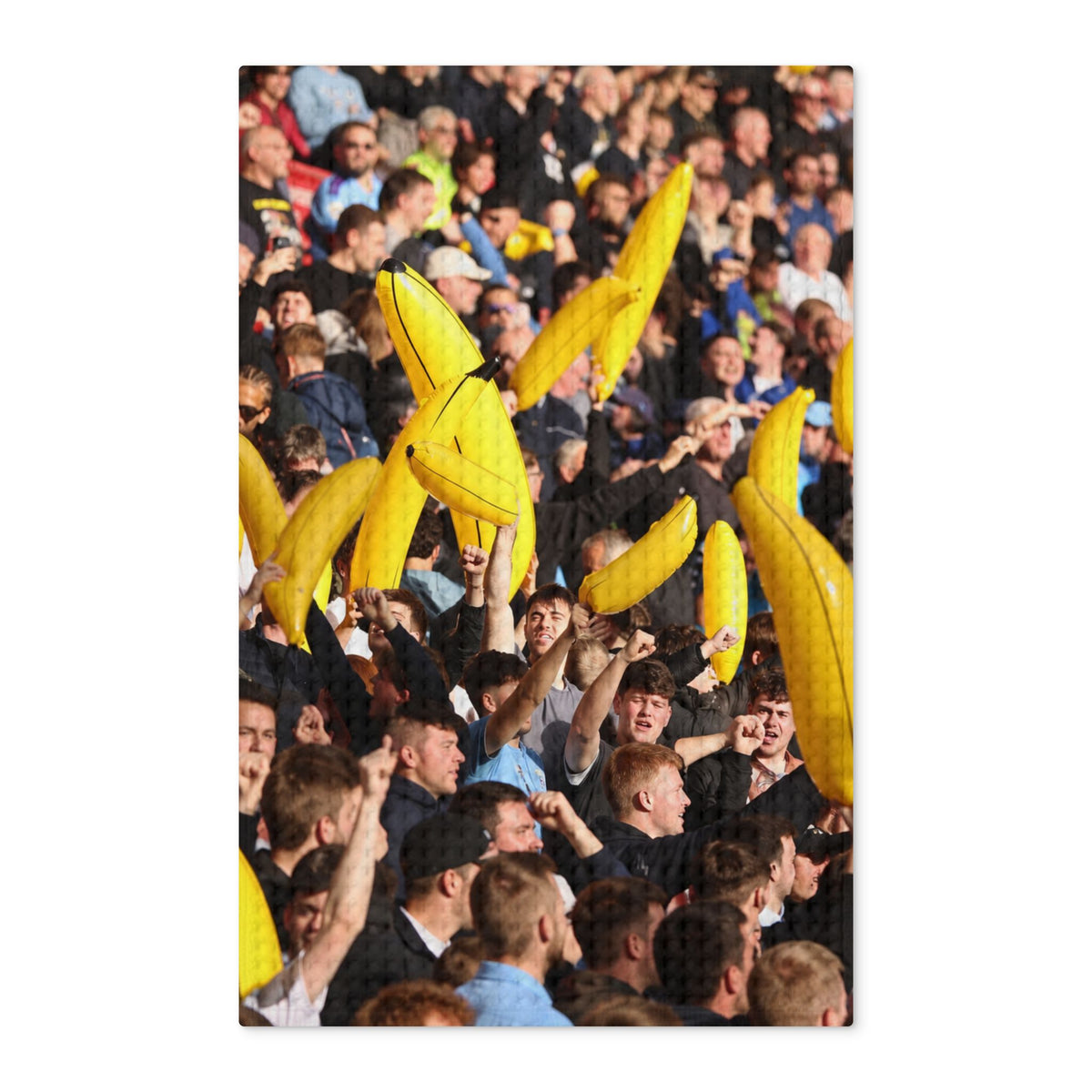 Manchester City Fans with Bananas Crowd Tea Towel