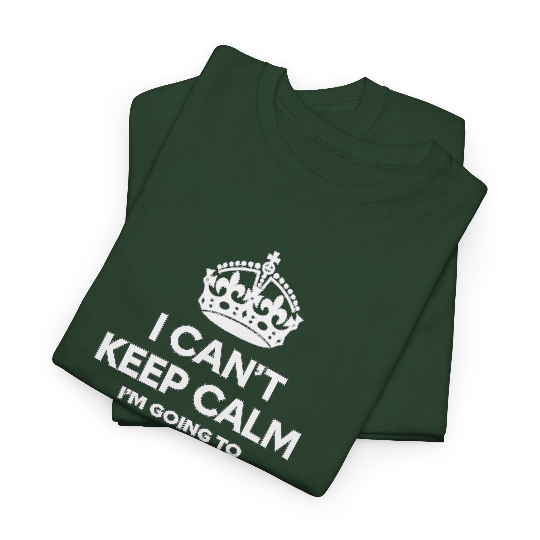 T-Shirt — "I CAN'T KEEP CALM I'M GOING TO EPIC UNIVERSE" Graphic Tee
