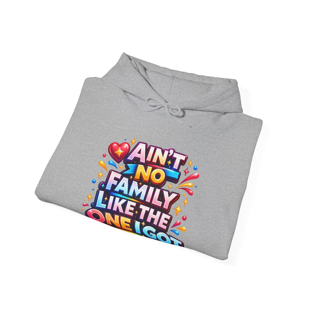 Ain't No Family Like The One I Got Hoodie
