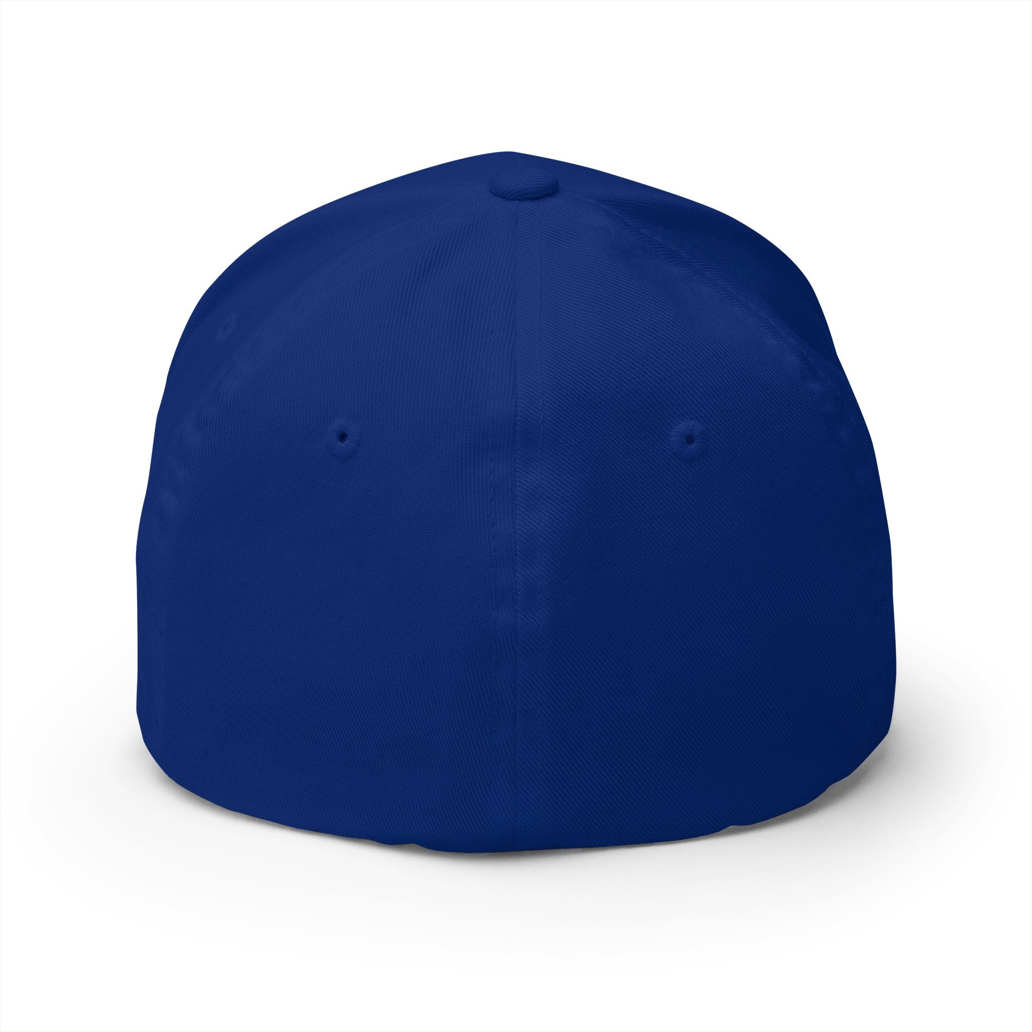 The Seagulls Embroidered Cap — Structured Baseball Hat