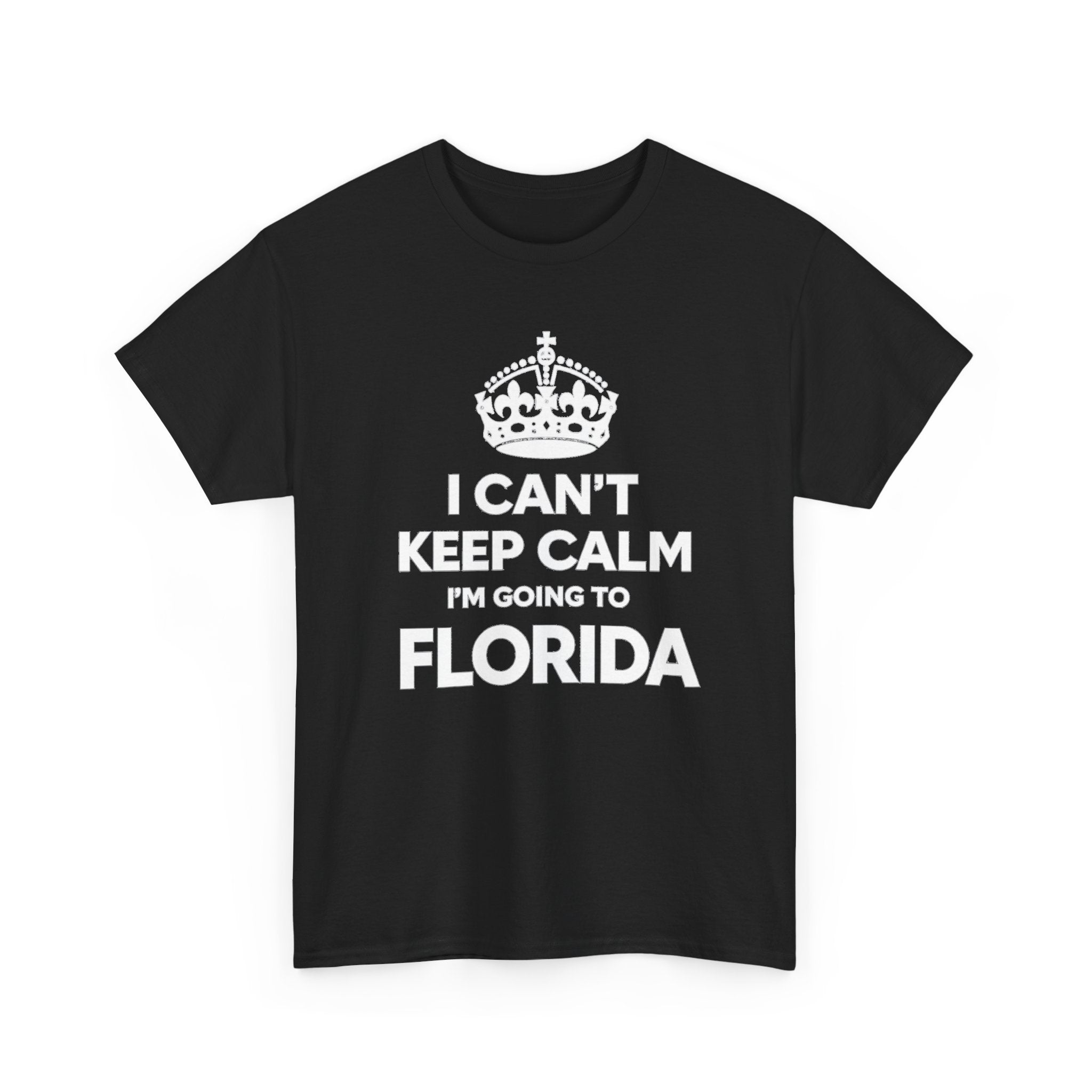 I Can't Keep Calm — Florida Vacation T-Shirt